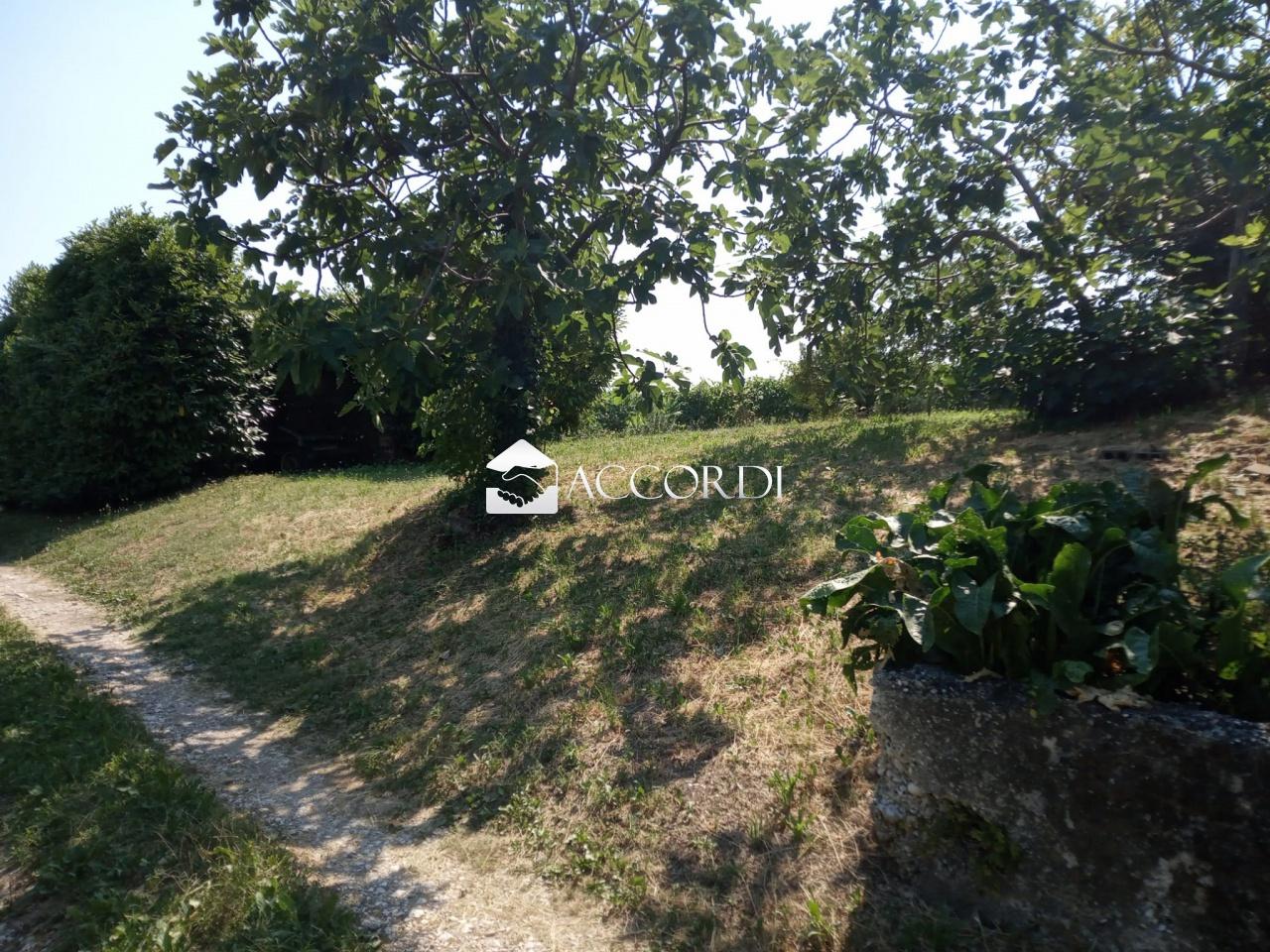 Vendita Esavani, Tarzo Vendita Esavani, Tarzo foto