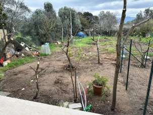 Vendita Trivani, Follonica