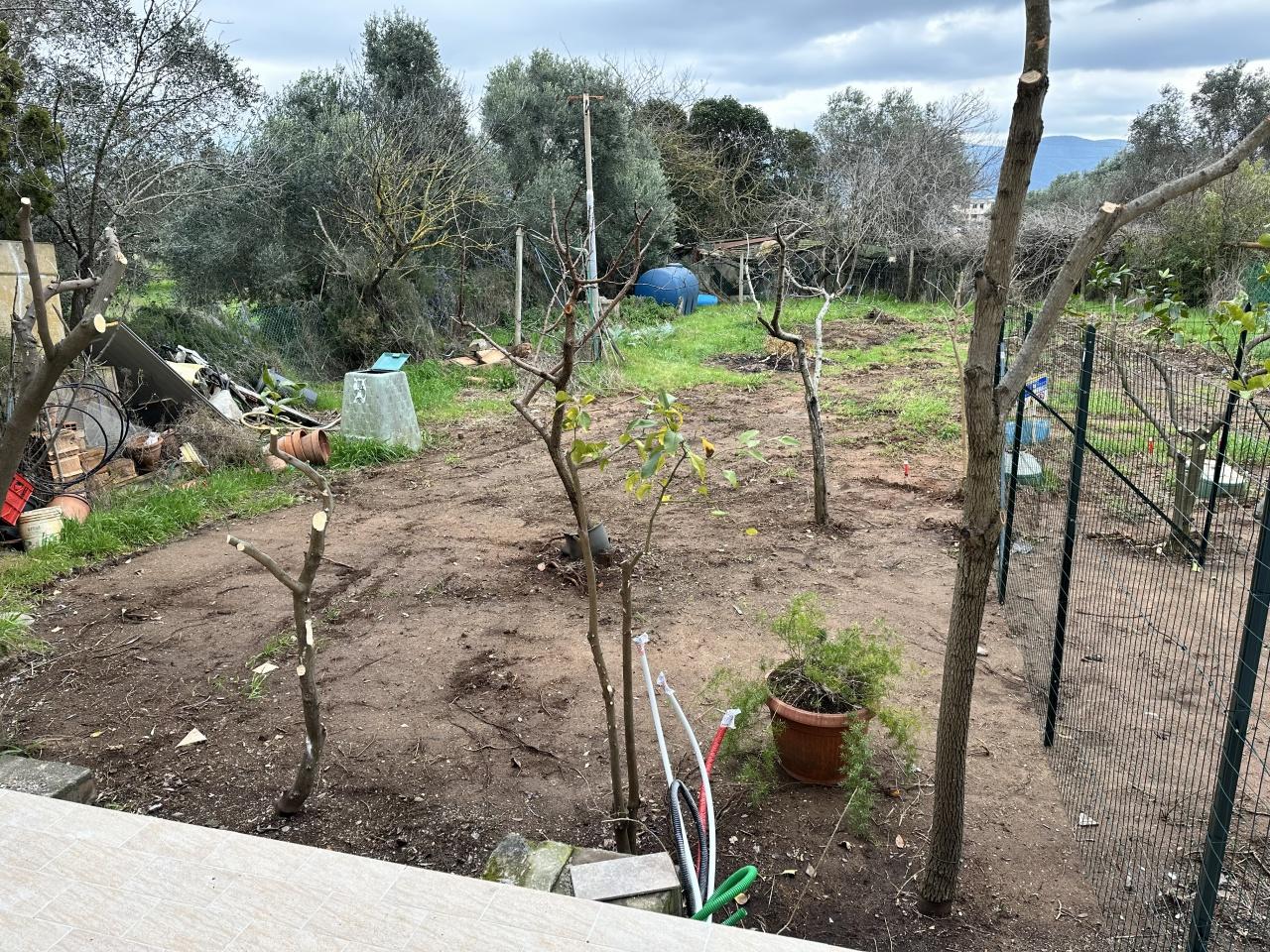 Vendita Trivani, Follonica foto