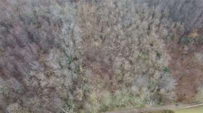 Vendita vendita, Cirimido