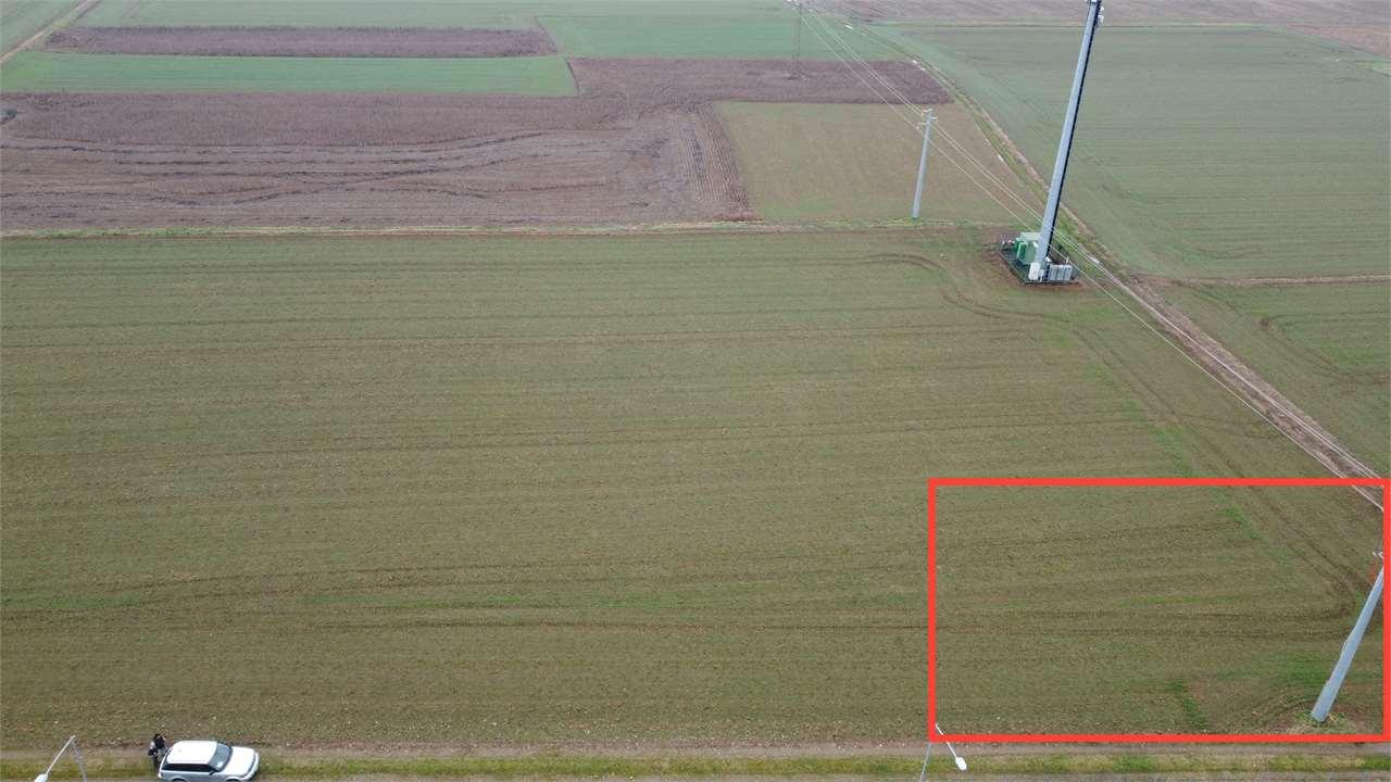 Vendita vendita, Lomazzo foto