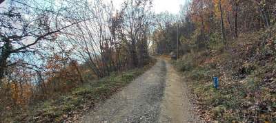 Vendita Terreni, Altavilla Vicentina Vendita Terreni, Altavilla Vicentina