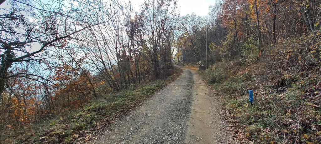 Vendita Terreni, Altavilla Vicentina foto