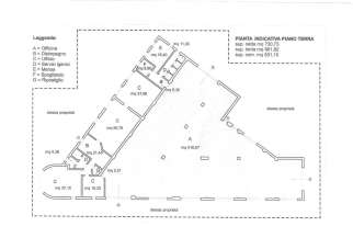 Vendita Esavani, Carrara