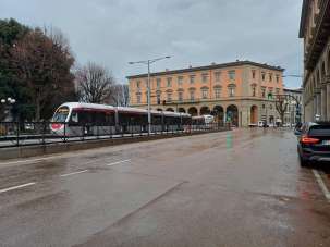 Affitto false, Firenze Affitto false, Firenze