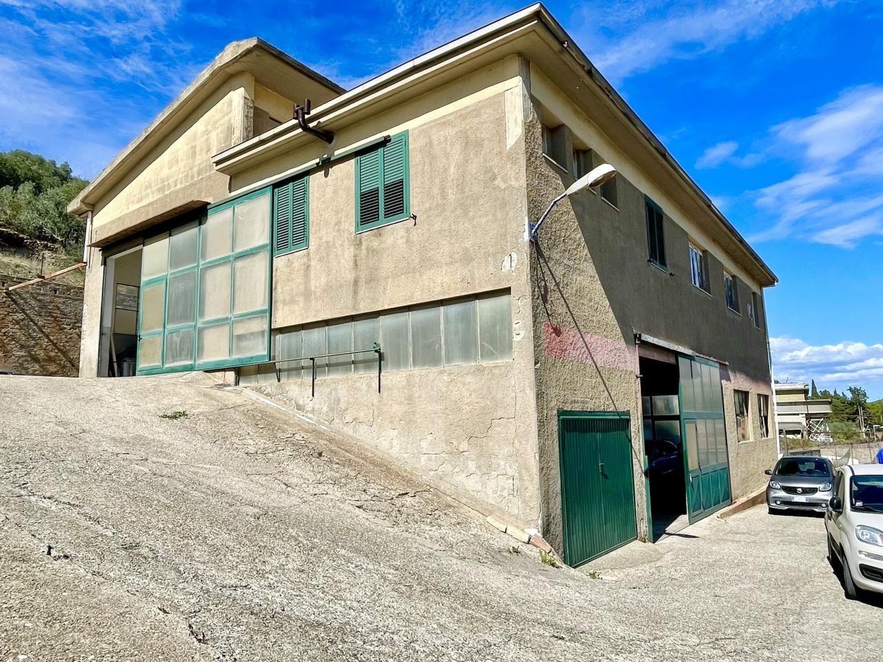 Vendita Capannone, Monte Argentario foto