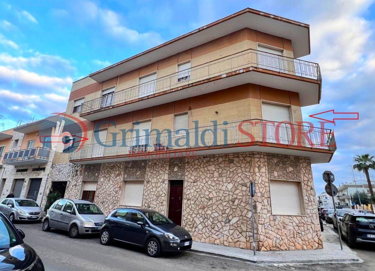 Vendita Eptavani, Cavallino foto