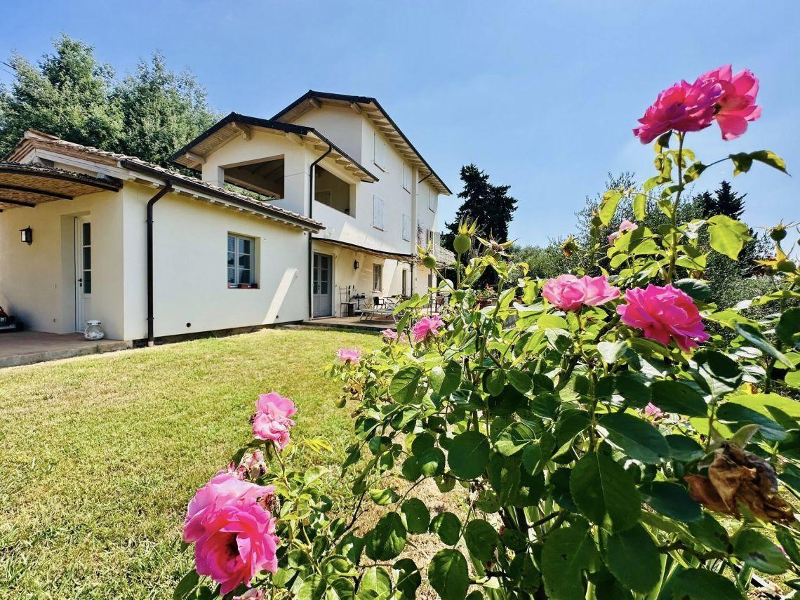 Vendita Multivani, Massarosa foto
