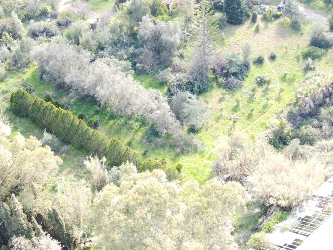 Vendita vendita, Olbia foto