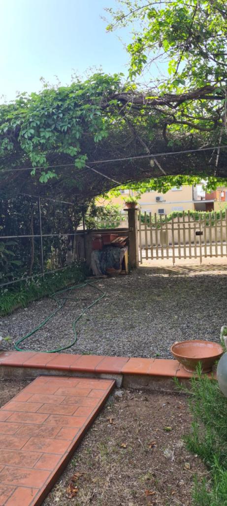 Vendita Trivani, Follonica foto