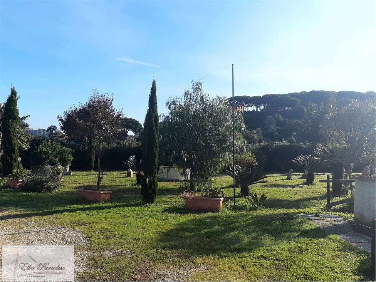 Vendita vendita, Capoliveri foto