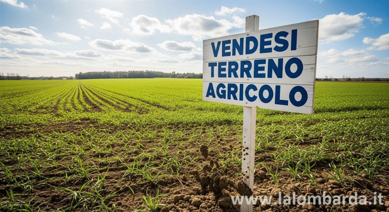 Vendita Terreno Agricolo, Mariano Comense foto
