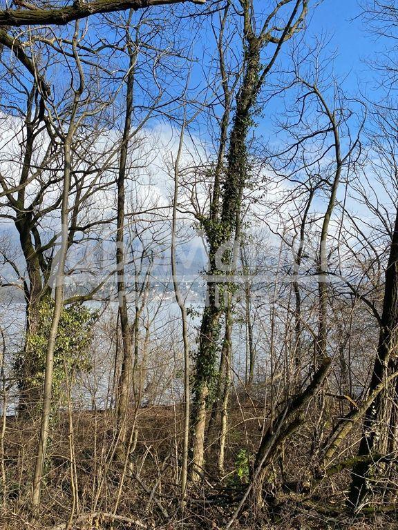 Vendita Terreno Agricolo, Bardello foto