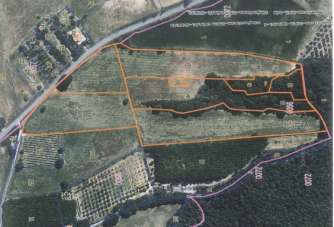 Vendita Monovano, Sovicille