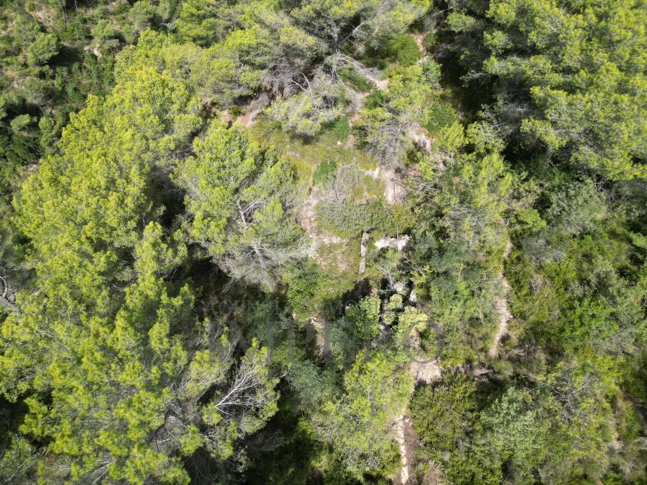 Vendita Monovano, Ventimiglia foto