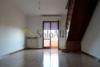 Affitto Multivani, Osimo
