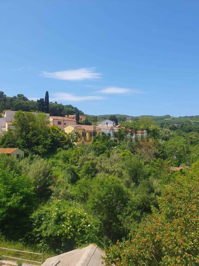 Affitto Trivani, Rosignano Marittimo Affitto Trivani, Rosignano Marittimo foto