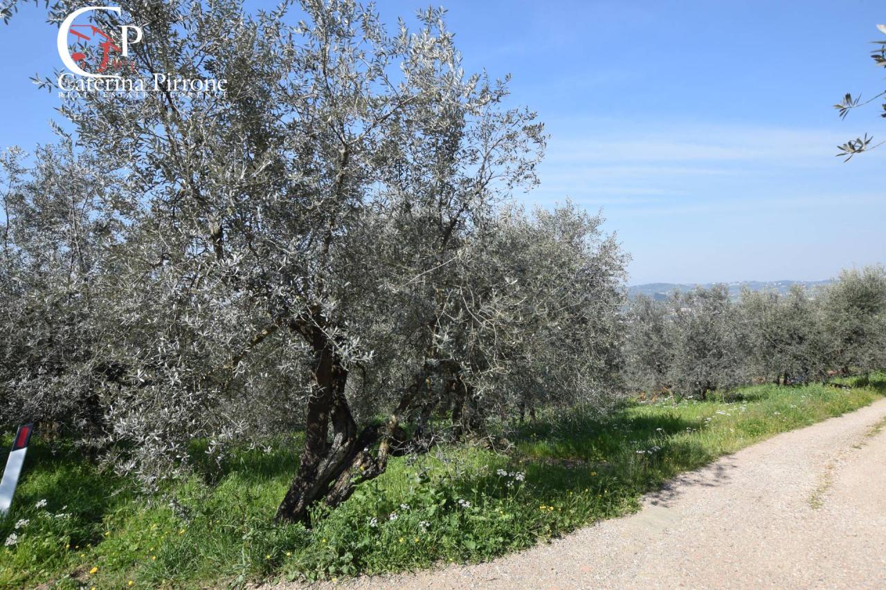 Vendita Terreno, Rignano sull'Arno foto