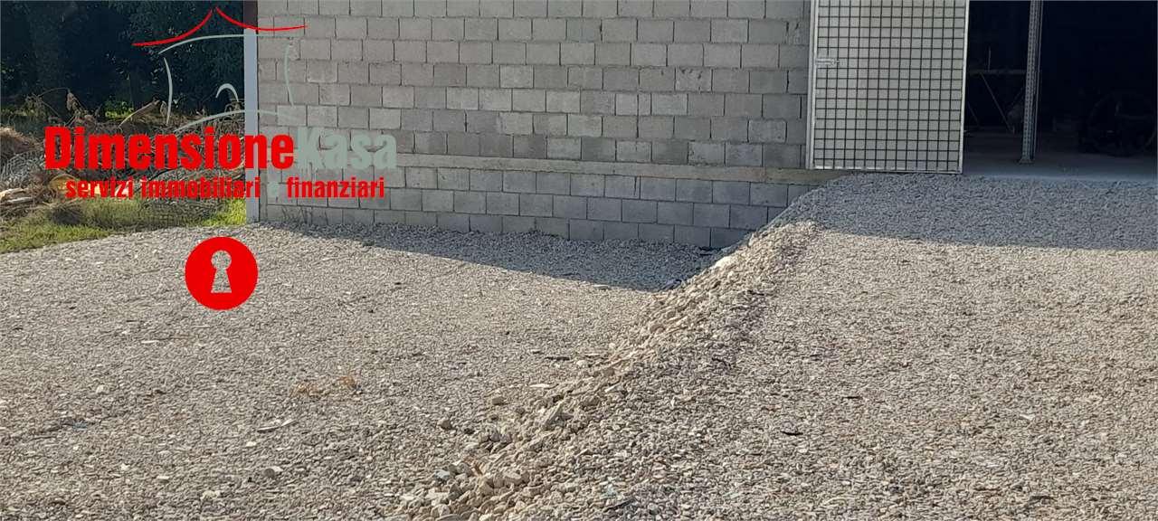 Affitto affitto, San Felice a Cancello foto