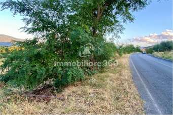 Vendita vendita, Montalto Uffugo