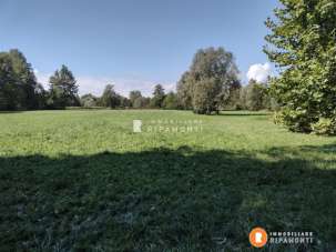 Vendita Loft, mansarde e attici, Annone di Brianza