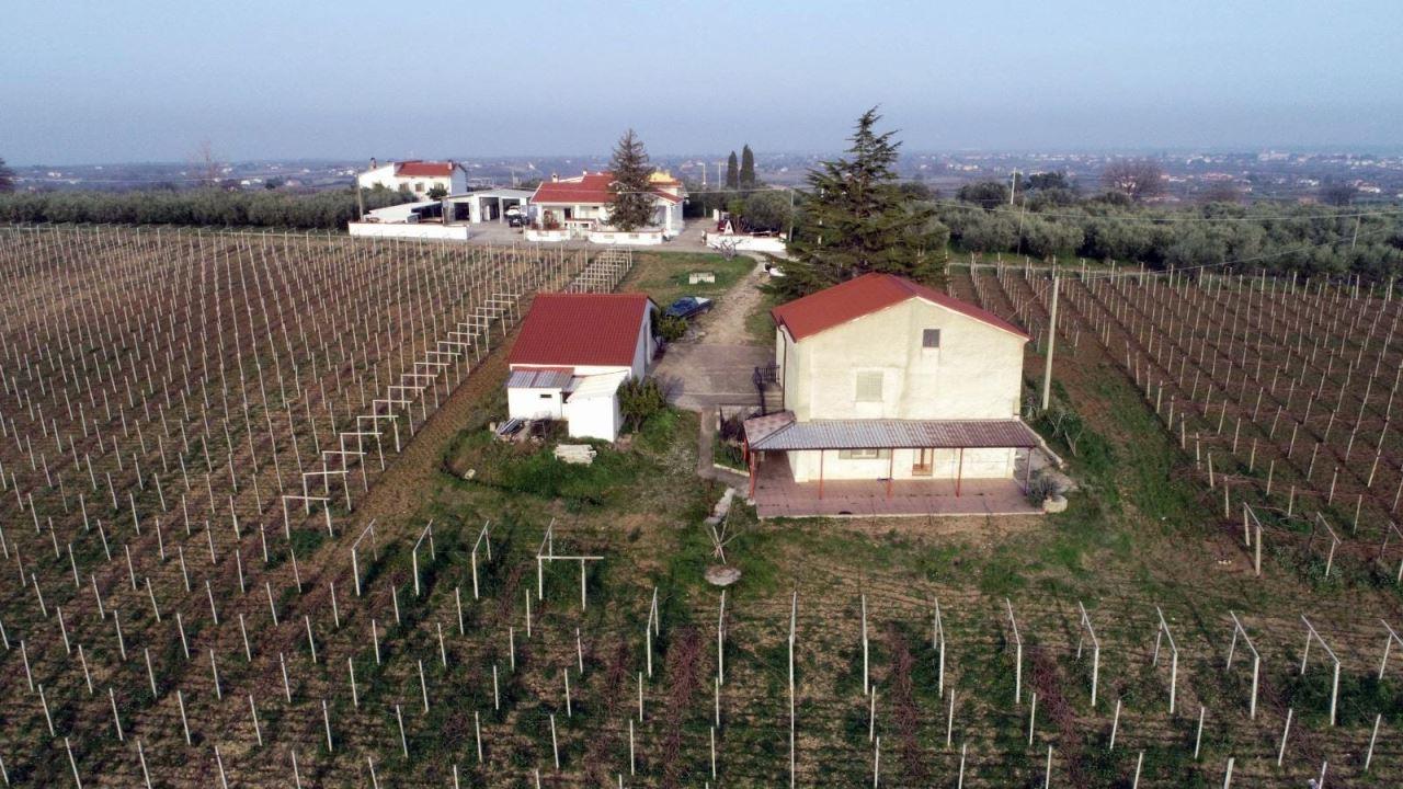Vendita Multivani, Casalbordino foto