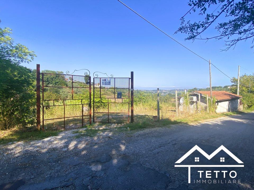 Vendita Bivani, Forano foto