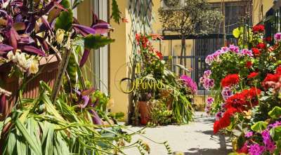 Vendita Trivani, Sanremo
