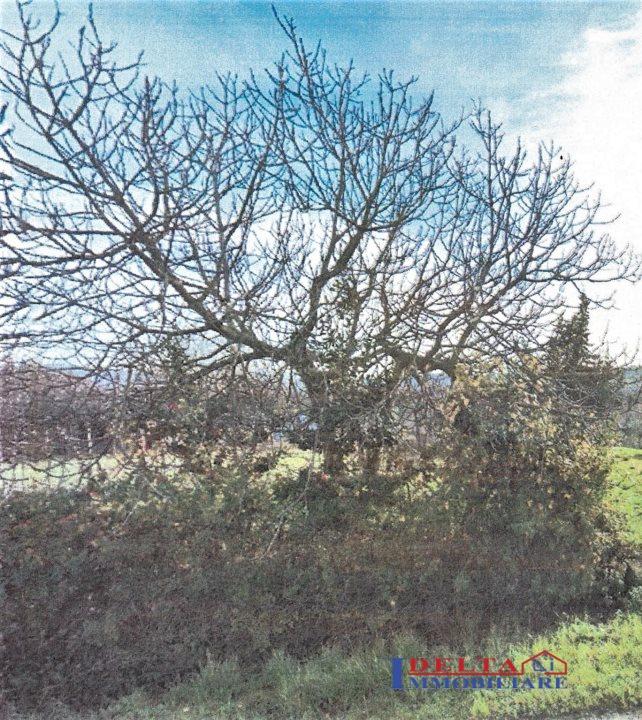 Vendita Loft, mansarde e attici, Cecina Vendita Loft, mansarde e attici, Cecina foto