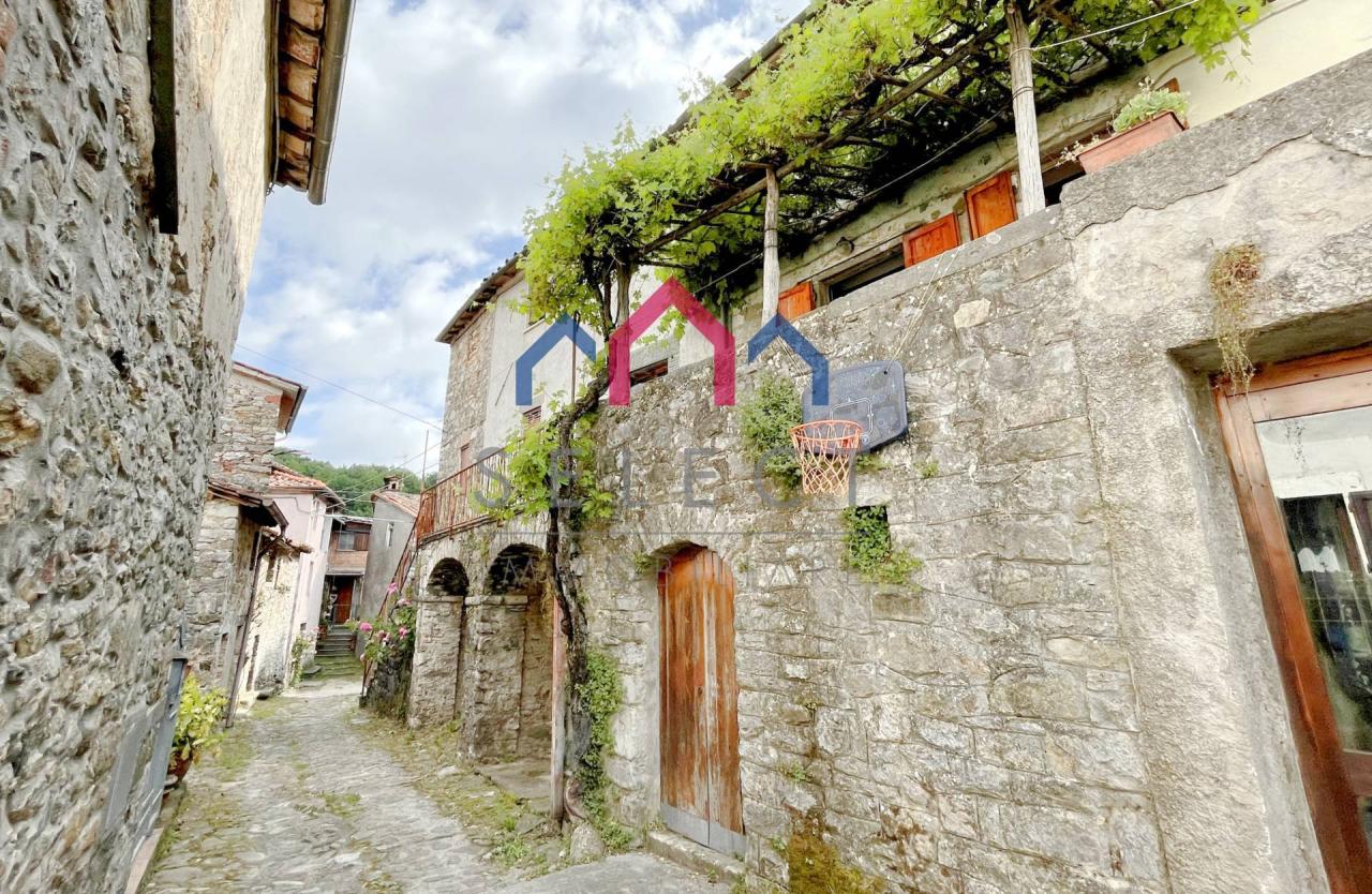 Vendita Casa indipendente, Borgo a Mozzano foto