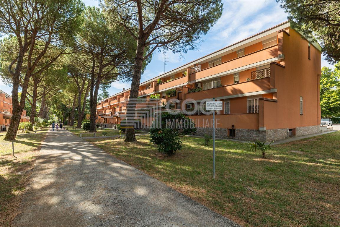 Vendita Appartamento, Imola Vendita Appartamento, Imola foto