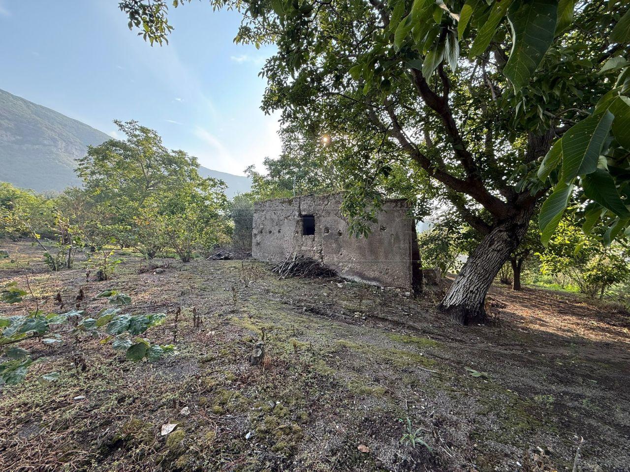 Venta Tierra, Sarno foto