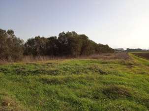 Vendita Altri immobili, Campiglia Marittima Vendita Altri immobili, Campiglia Marittima
