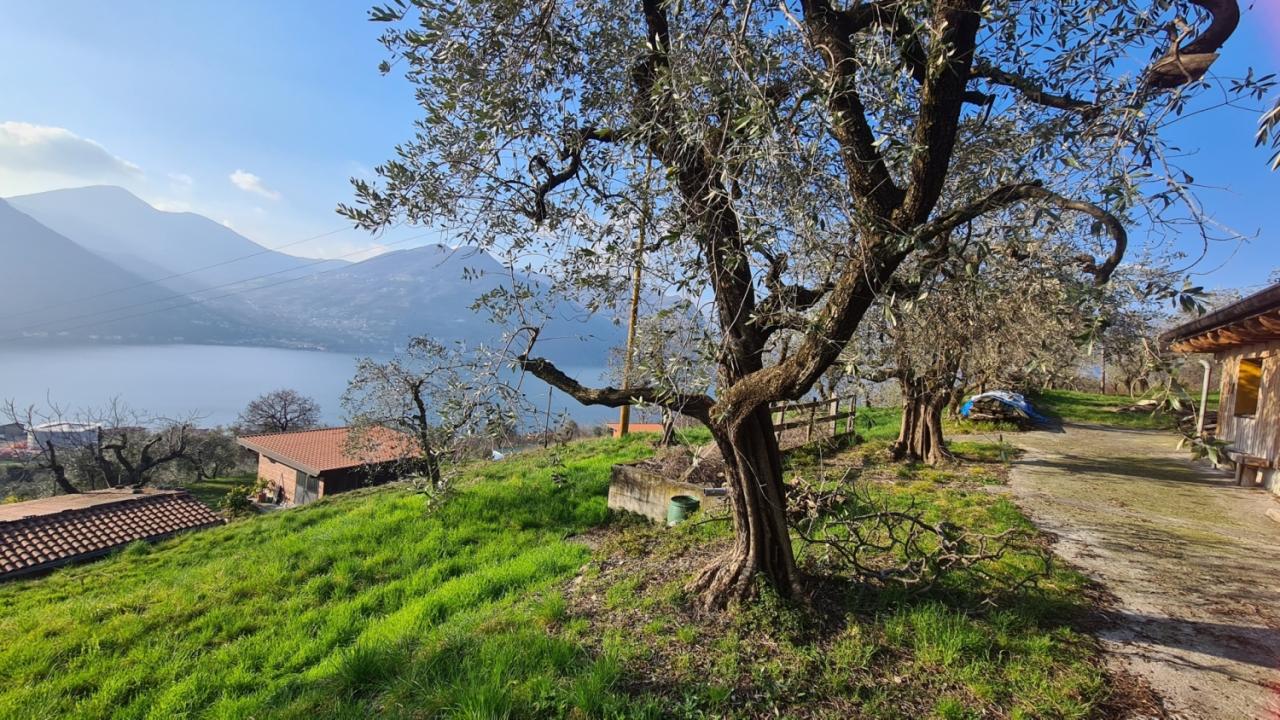 Vendita Monovano, Monte Isola foto
