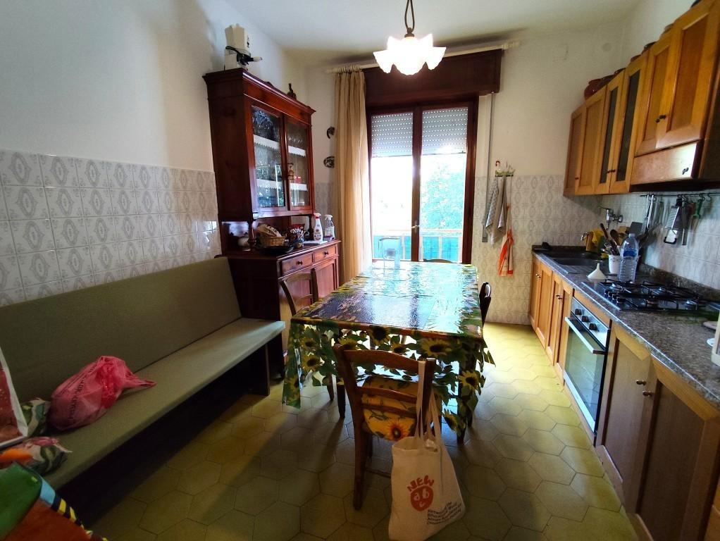Affitto Monovano, Forli foto