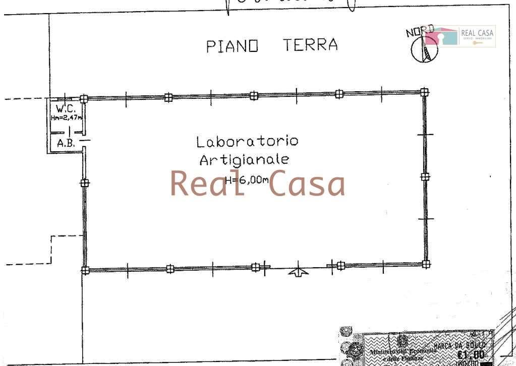 Vendita vendita, Campogalliano foto