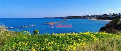 Vendita vendita, Trani Vendita vendita, Trani