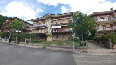 Vendita Quadrivani, Zocca