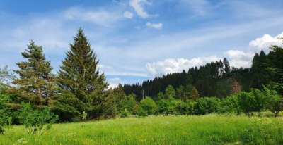 Vendita Terreno, Tarvisio