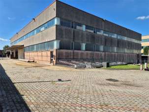 Affitto affitto, Gallarate