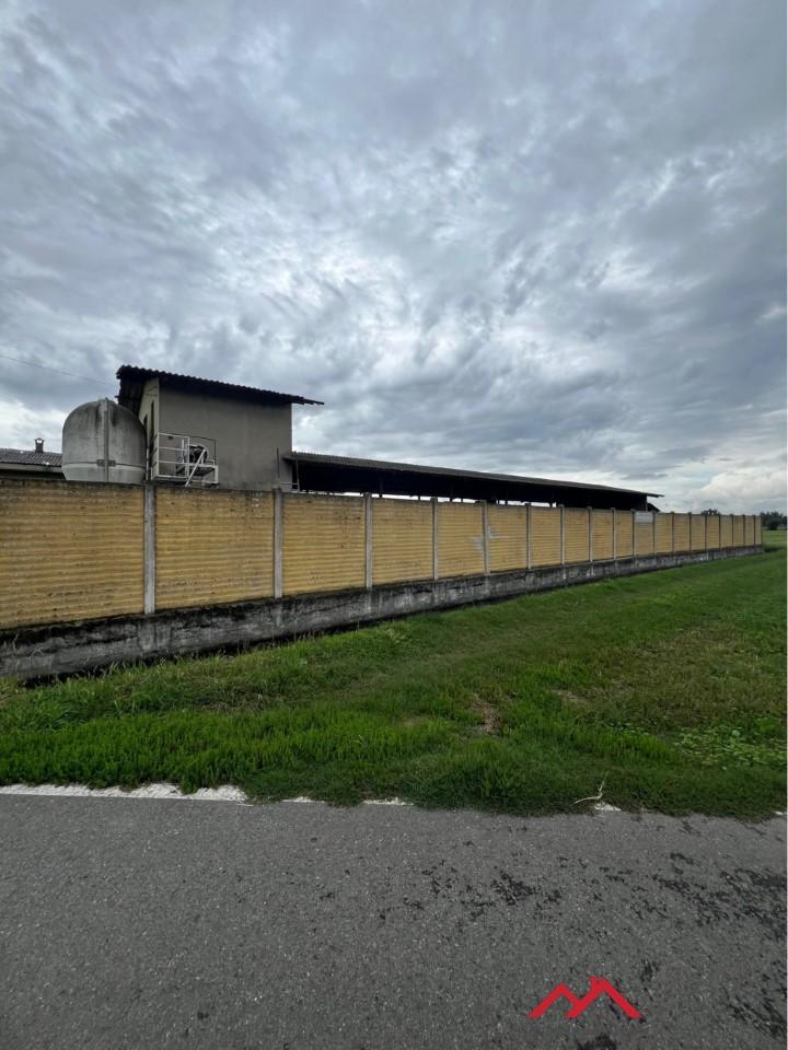 Vendita Loft, mansarde e attici, Pandino Vendita Loft, mansarde e attici, Pandino foto