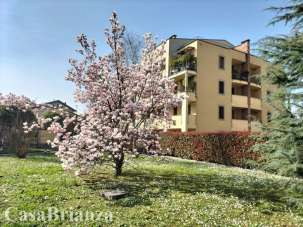 Affitto Appartamento, Biassono Affitto Appartamento, Biassono