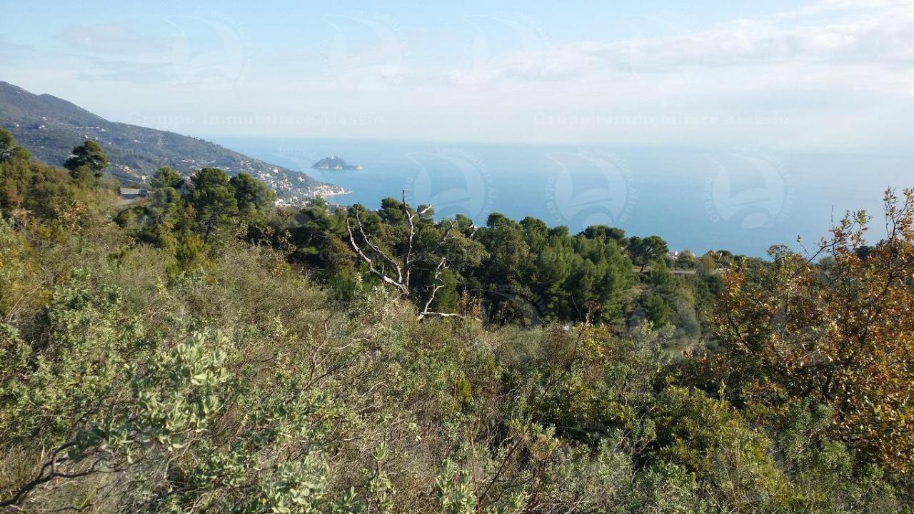 Venta Terreno Agricolo, Alassio foto
