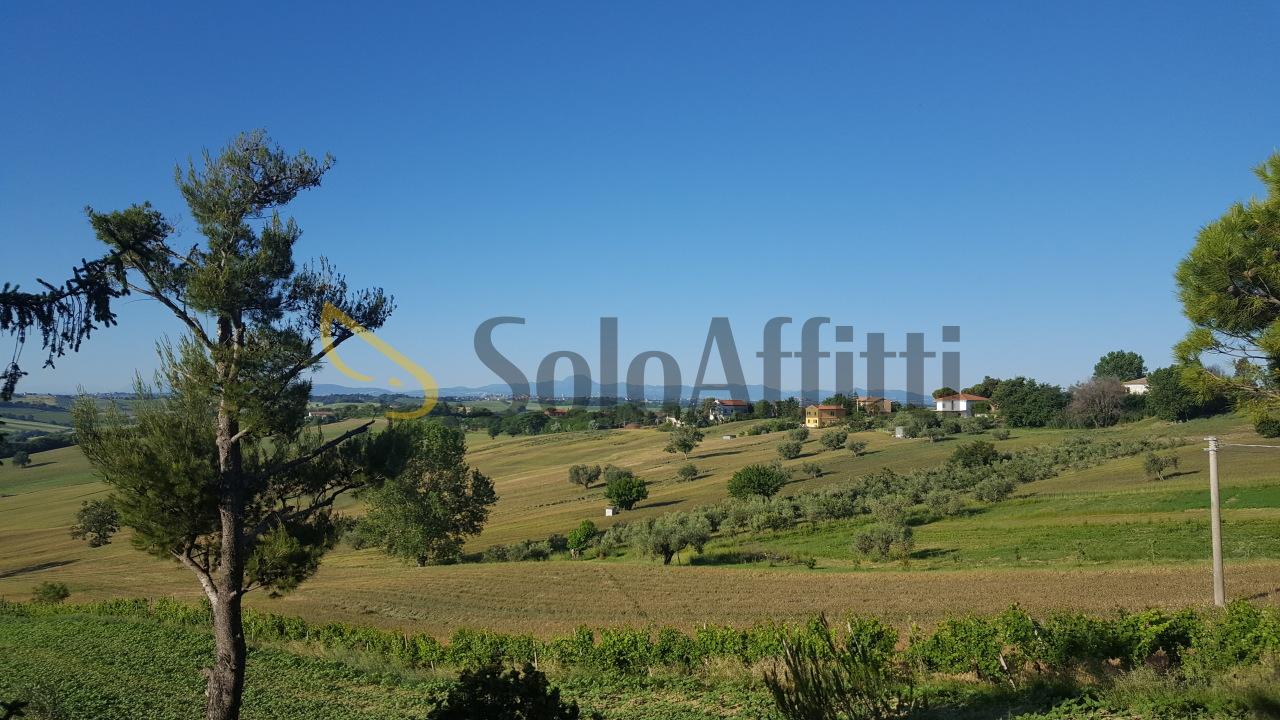 Affitto Monovano, Senigallia Affitto Monovano, Senigallia foto