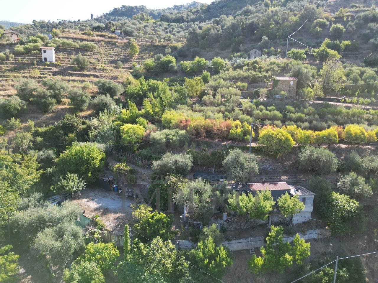 Vendita Case, San Biagio della Cima foto