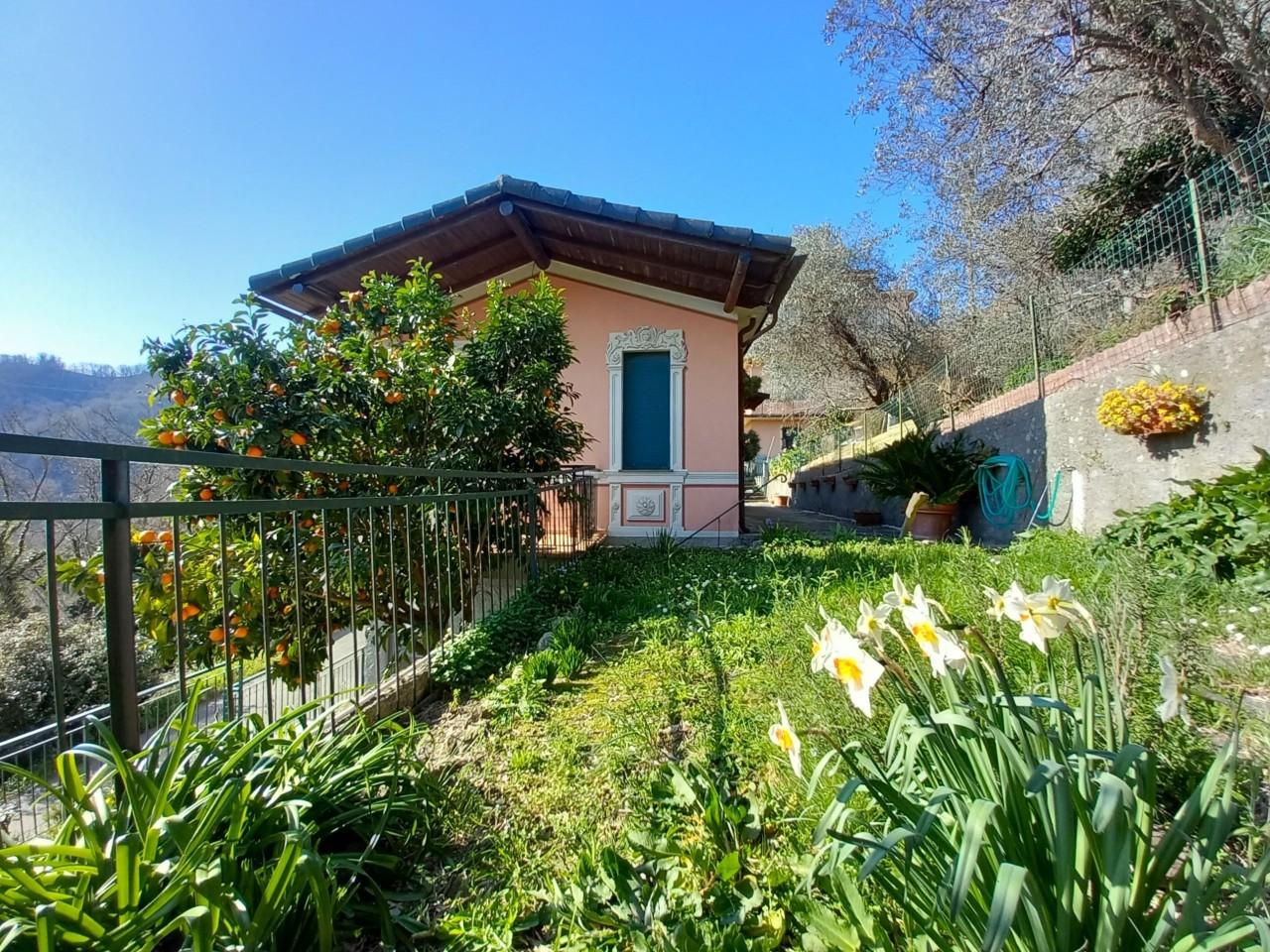 Vendita Esavani, Tribogna foto
