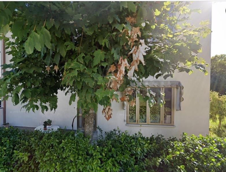 Vendita Eptavani, Treviso foto