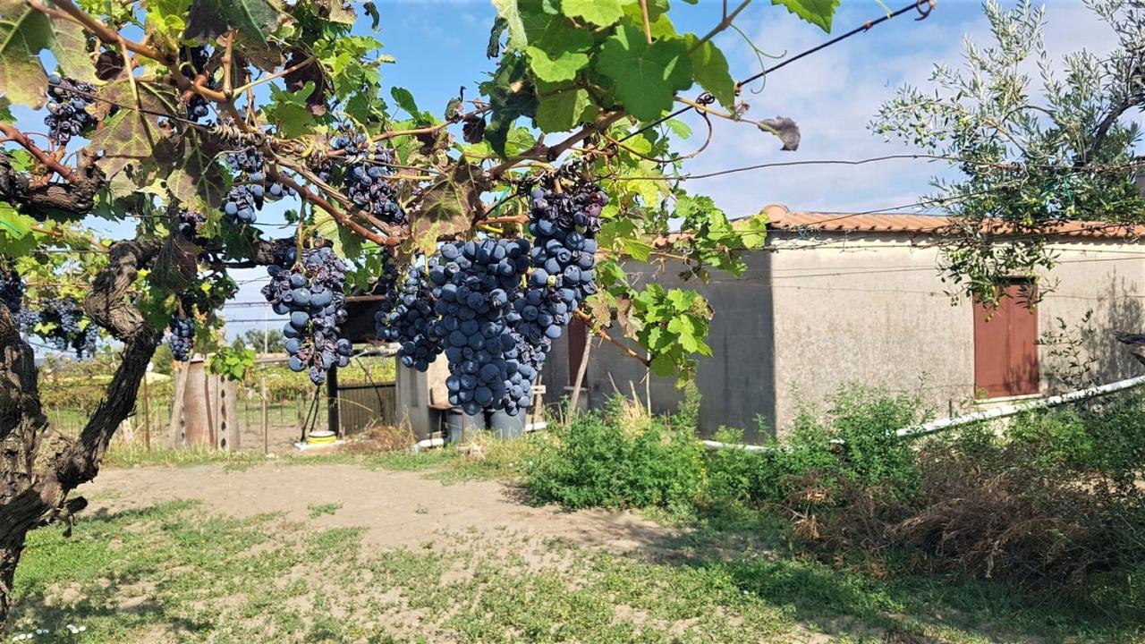 Vendita Altri immobili, Marino foto