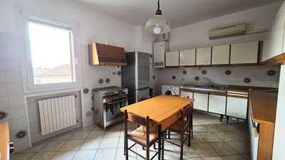 Affitto Trivani, Bologna Affitto Trivani, Bologna