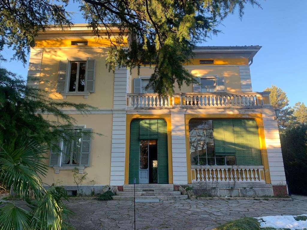 Vendita vendita, Erba foto